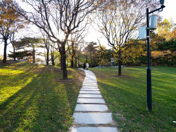 A stone walking path across a sunny park lawn.